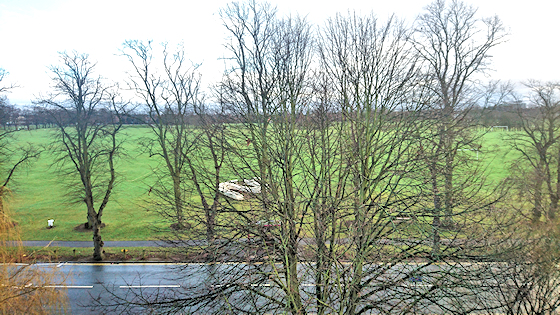 View across the Racecourse park