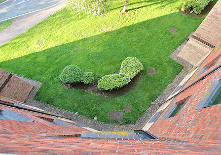 View from third floor down to grass and shrubs