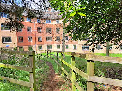 Looking through a fence and vegetation towards halls